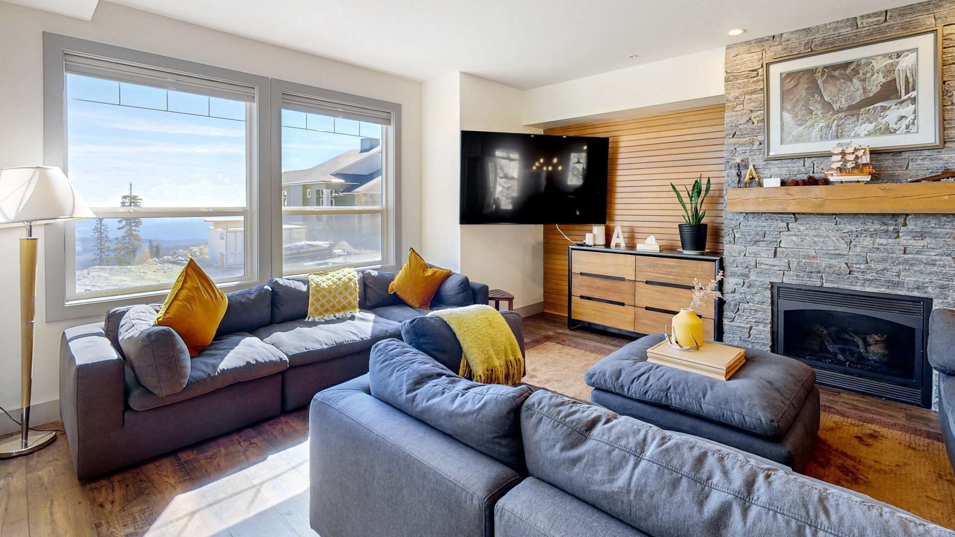 TV, fireplace