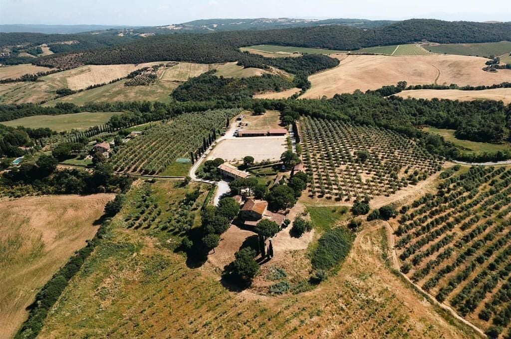 An aerial view of a vineyard with rows of grapevines, a central building, and surrounding fields.
