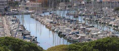 Marina