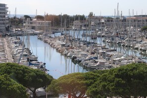 Un puerto deportivo con numerosas embarcaciones amarradas, rodeado de edificios y árboles.