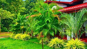 A lush garden with palm trees and a red-roofed building. - Wilpattu Gagana Guest  (Pahala Maragahawewa)