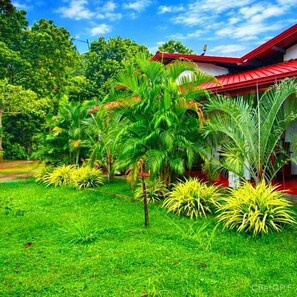 Utsikt mot trädgården