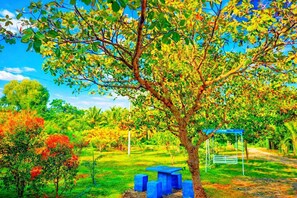 Garden - Wilpattu Gagana Guest  (Pahala Maragahawewa)