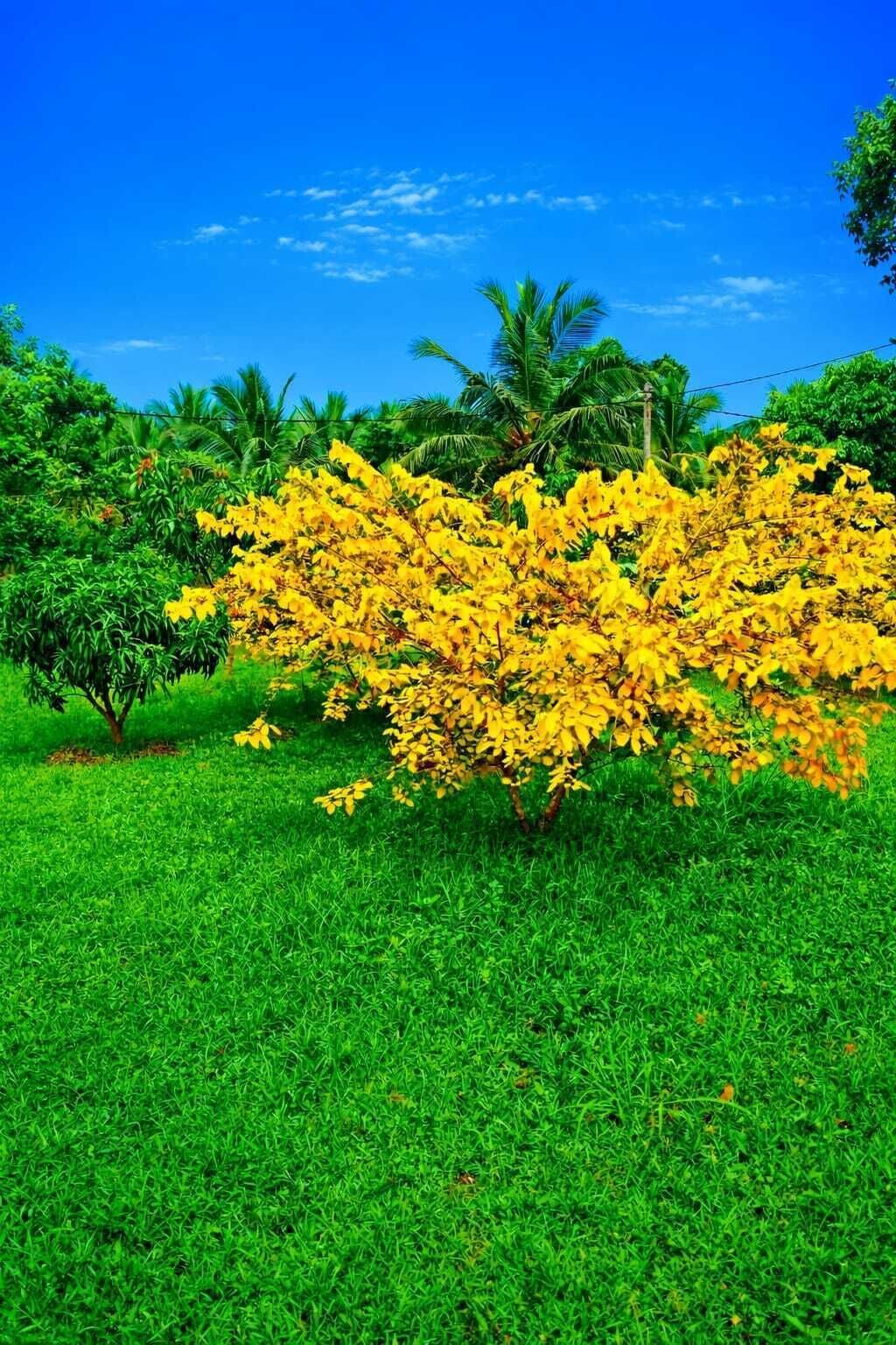 Utsikt fra overnattingsstedet