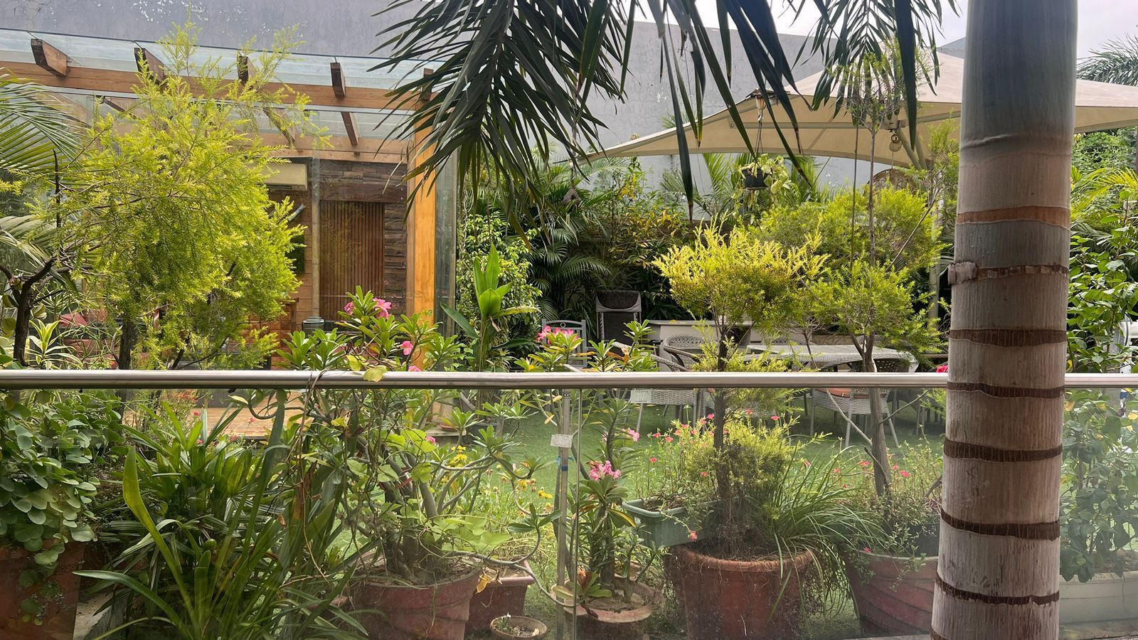 A balcony with potted plants and a view of a building with a wooden door and a glass window.