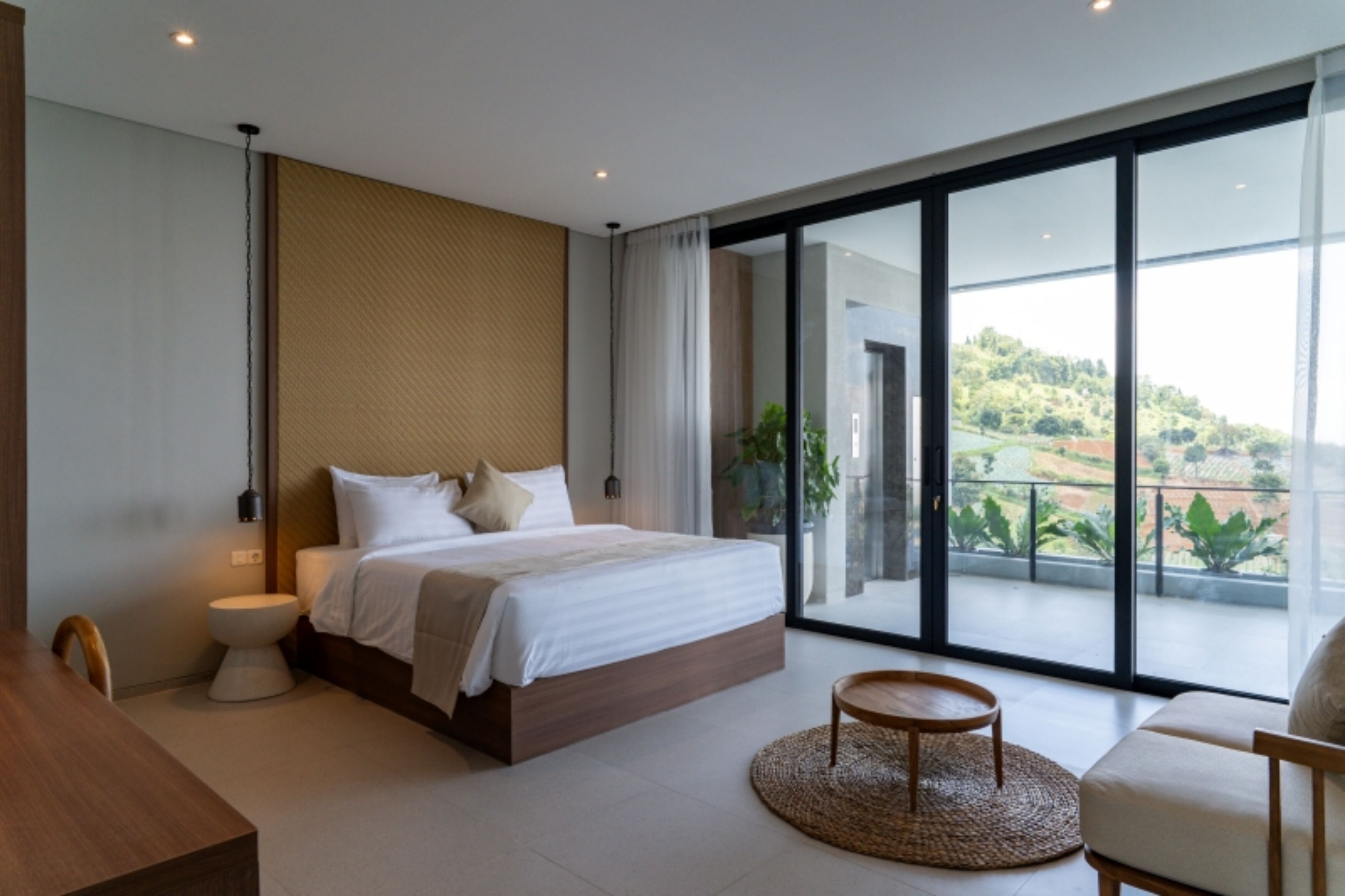 Iron/ironing board, free WiFi