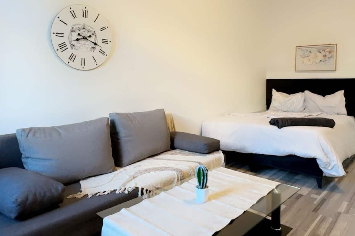 Apartamento básico | Tabla de planchar con plancha