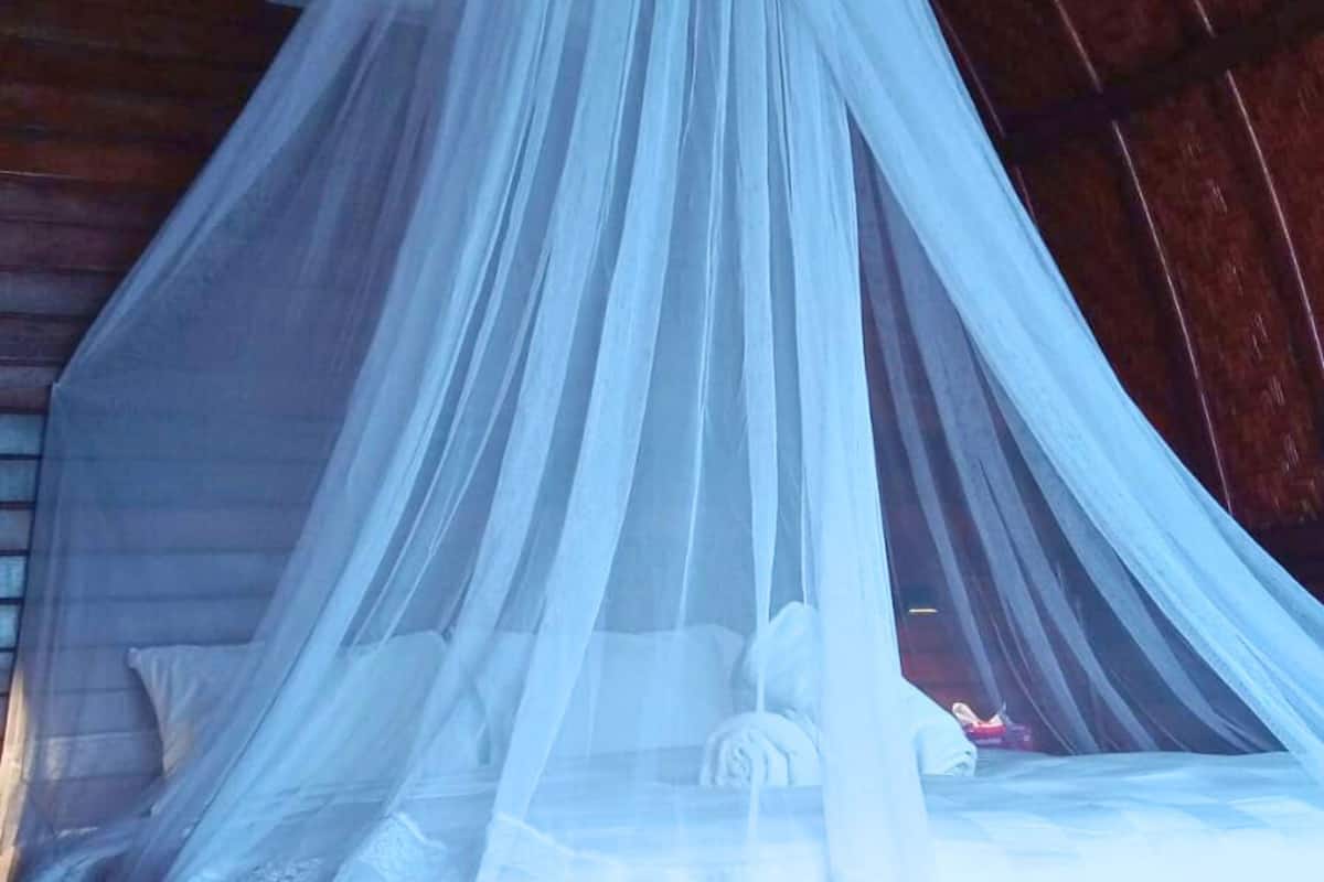 Bureau, Wi-Fi gratuit