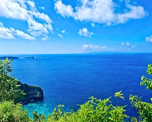 Un paisaje costero con mar azul cristalino, formas de tierra lejanas y abundante vegetación.
