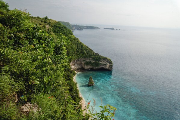 Pemandangan dari udara