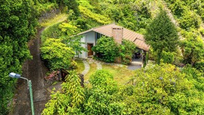 Ein Haus, umgeben von üppiger Vegetation, mit einem steinernen Weg zum Eingang.
