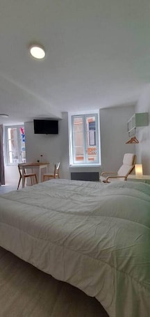 1 bedroom, iron/ironing board, free WiFi, bed sheets. Pleasant studio Bourgueil center