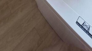 Eine Küche mit weißer Arbeitsplatte, einem Spülbecken und einer grünen Pflanze.