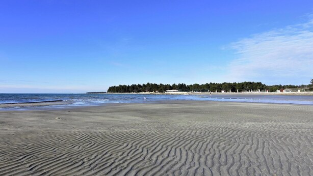 Platja sorrenca amb ones suaus, cel clar i zona boscosa al fons.