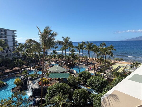 Unclassified image, 1 of 61, button