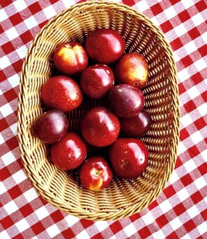 Food and drink - Tatsaaraa Kavan (Ramgarh)