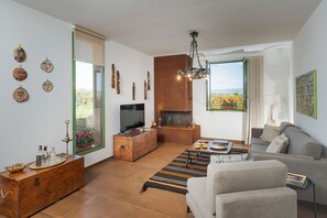 Televisión y chimenea 