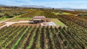Una villa moderna con piscina, rodeada de campos de viñedos y montañas a lo lejos.