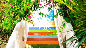 Apartment | 1 bedroom, Internet