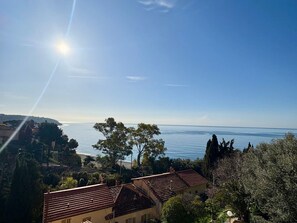 Une vue sur la côte, avec des bâtiments et des arbres.