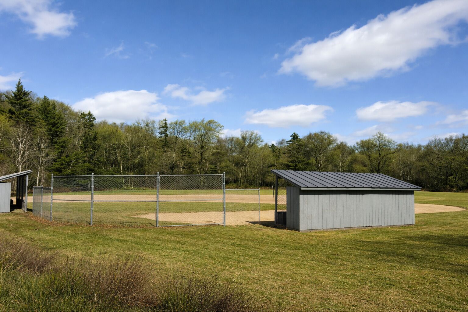 A baseball field with a chain-link fence, a small shed, and trees in the background.