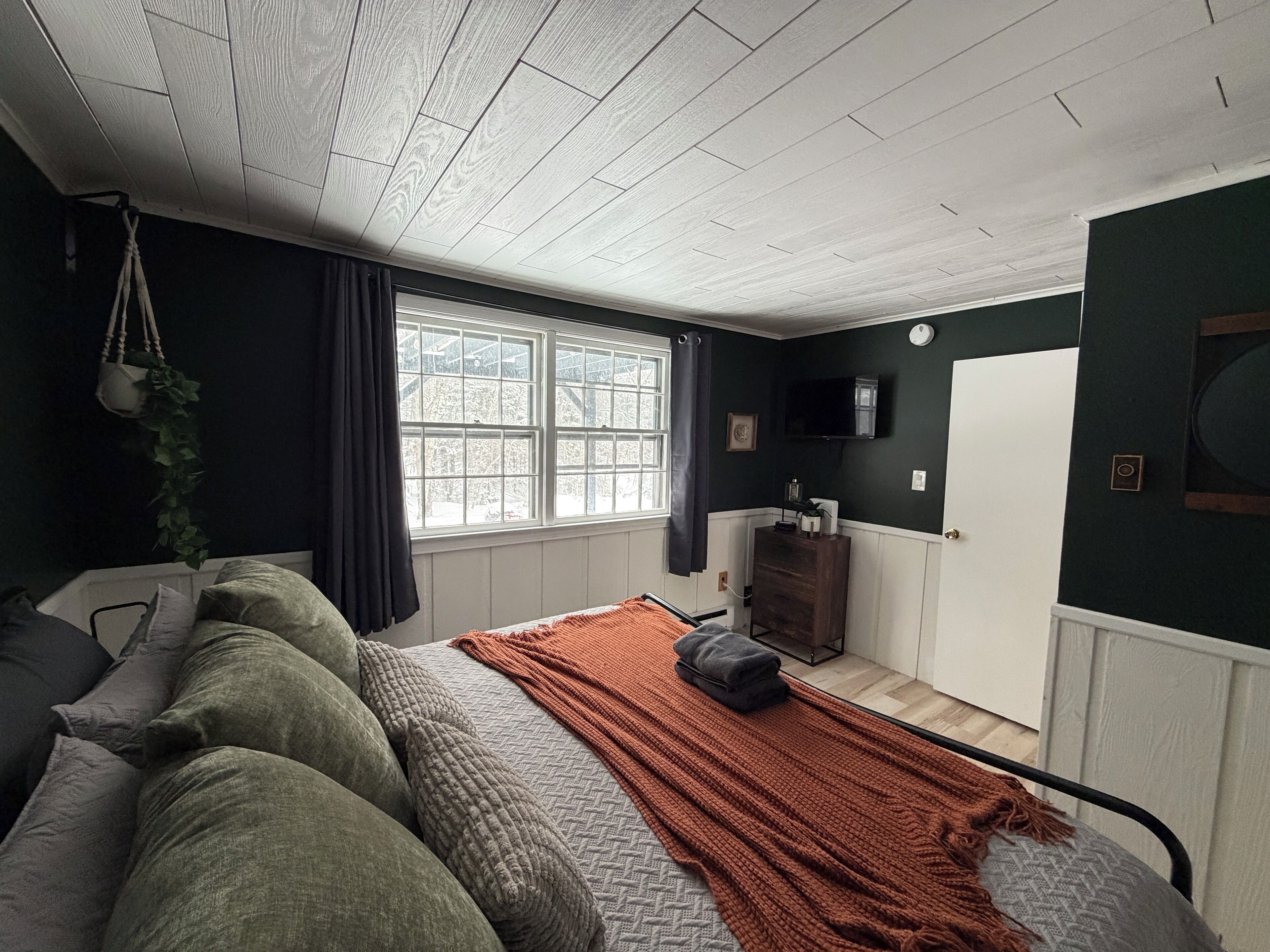 A room with a bed, a window, a television, and a plant.