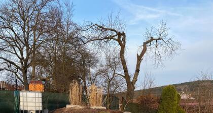 Beautiful 2-bedroom townhome in welcoming Besednice for your stay