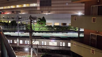 Departamento Deluxe, balcón, vista a la ciudad | Vista desde la habitación