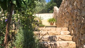 A stone wall with a potted plant and a stone staircase. - Amazing home in Cizici (Cizici)