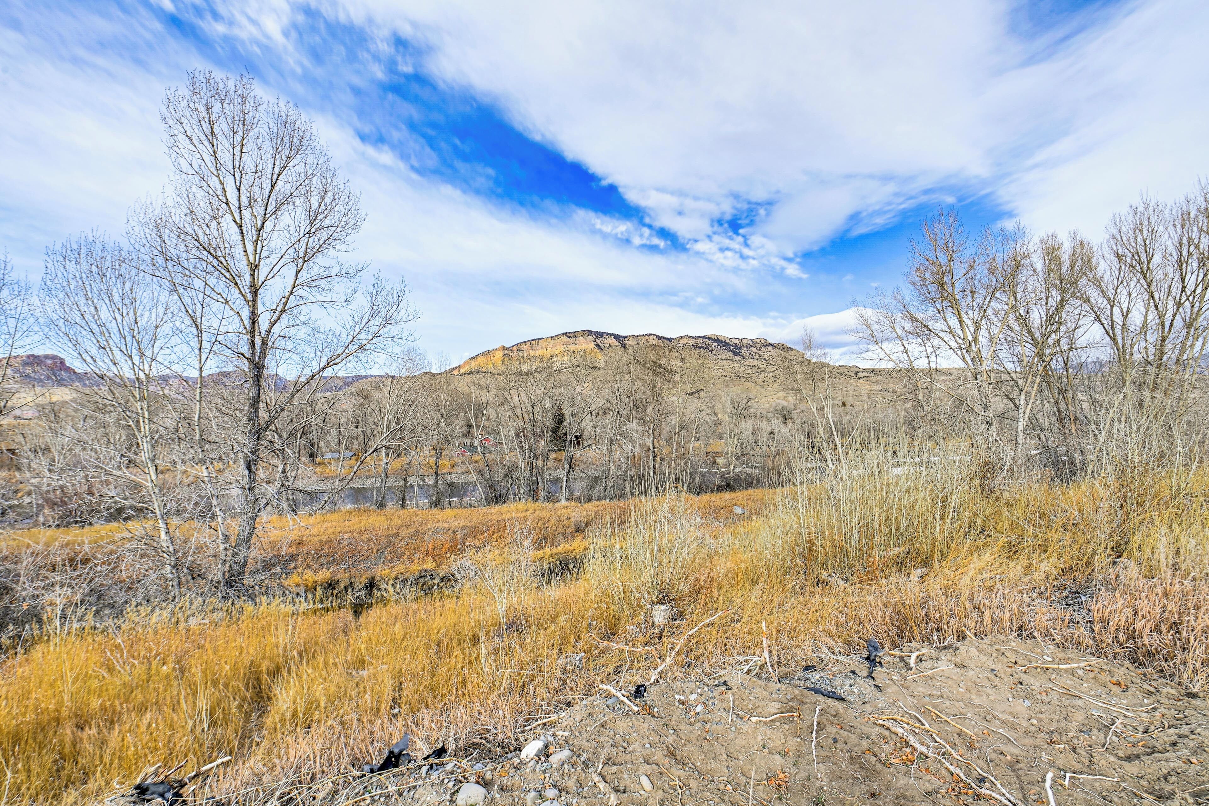 A barren landscape with dry grass, leafless trees, and a hill in the background.