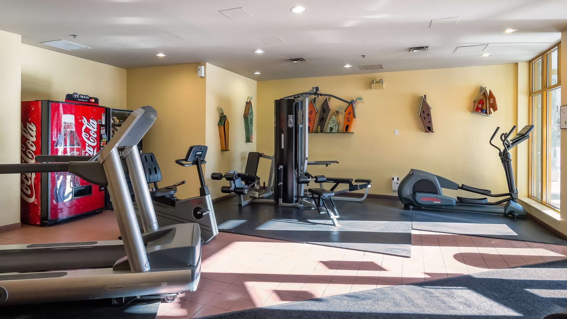 Un gimnasio con máquinas de cardio, equipo de levantamiento de pesas y un amplio ventanal que proporciona luz natural.