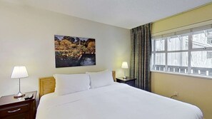 1 slaapkamer, een strijkplank/strijkijzer, internet