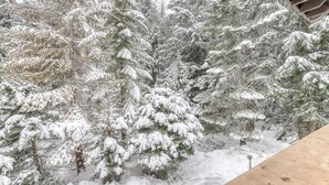 Schneelandschaft mit dichten immergrünen Bäumen.