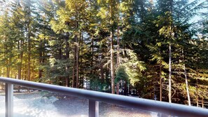 Property grounds - Whistler - The Aspens 214 (Whistler)