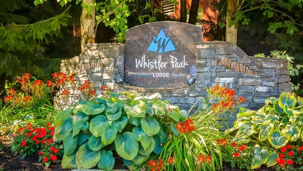 Kivestä valmistettu kyltti, jossa on logo ja teksti ”Whistler Peak Lodge”. Kylttiä ympäröi vehreä kasvillisuus ja kukkivat kasvit.