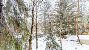 Ein verschneiter Wald mit hoch aufragenden Bäumen und einer Schneedecke.
