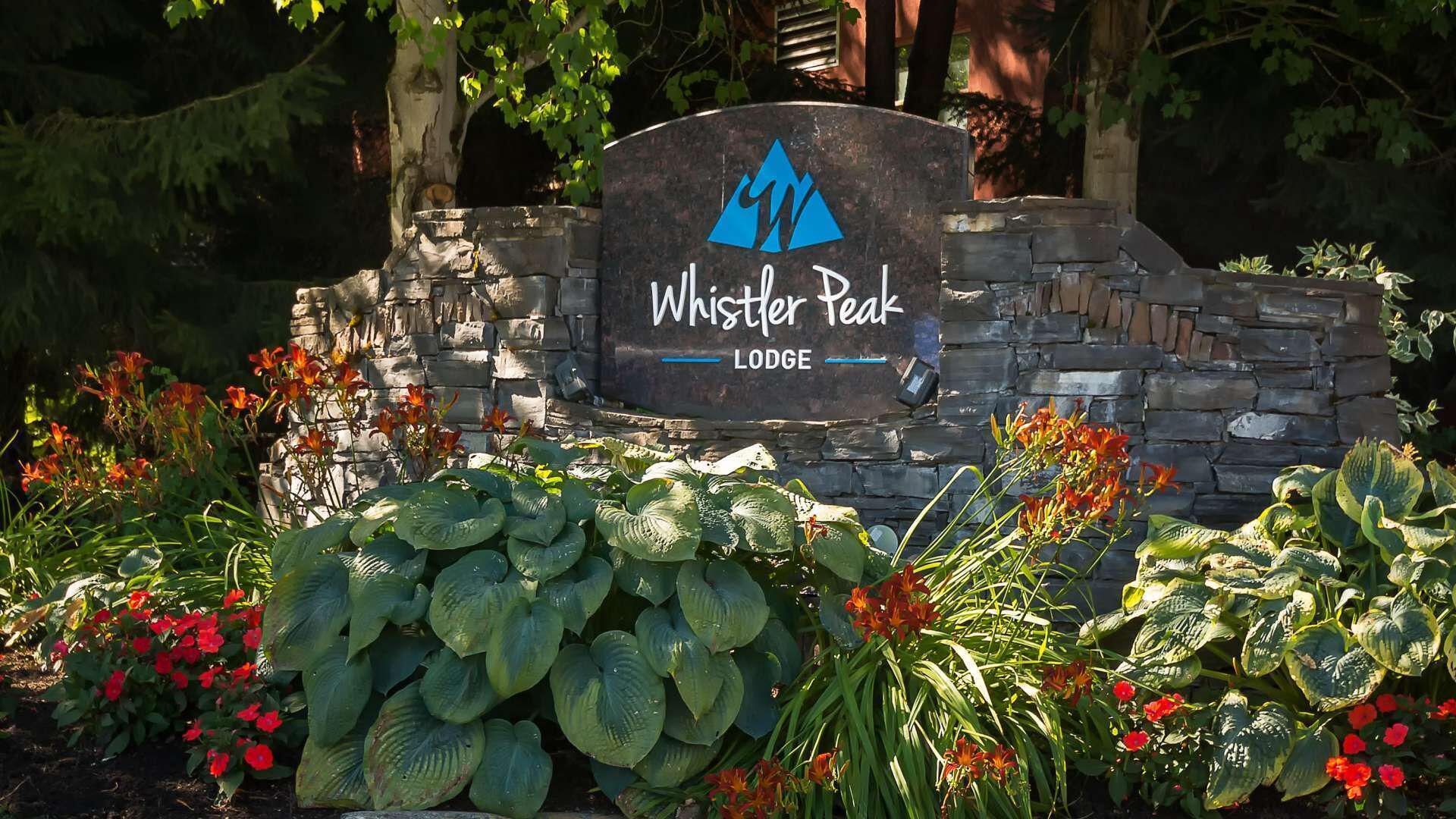 Terrain de l’hébergement 