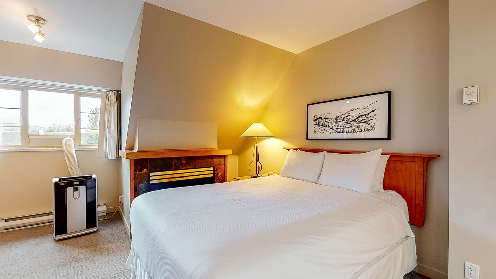 Ferro/asse da stiro, accesso a Internet