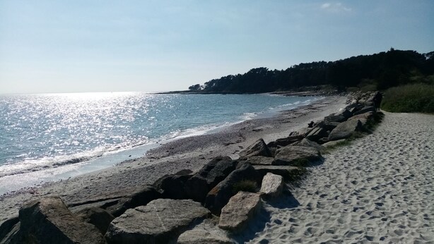 Una platja amb un tram de roca i una vista clara del mar.