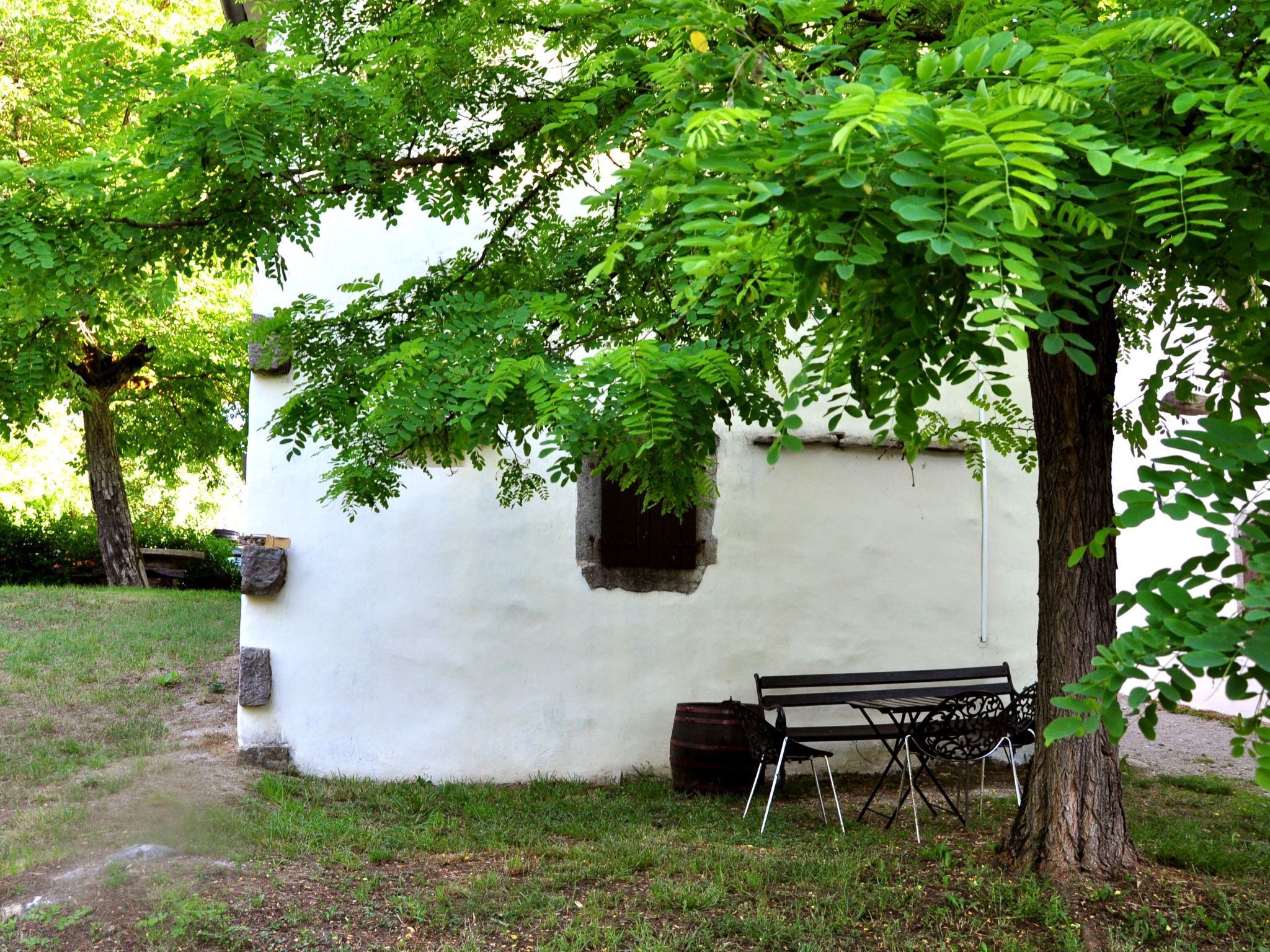 テラス / パティオ