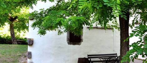 テラス / パティオ