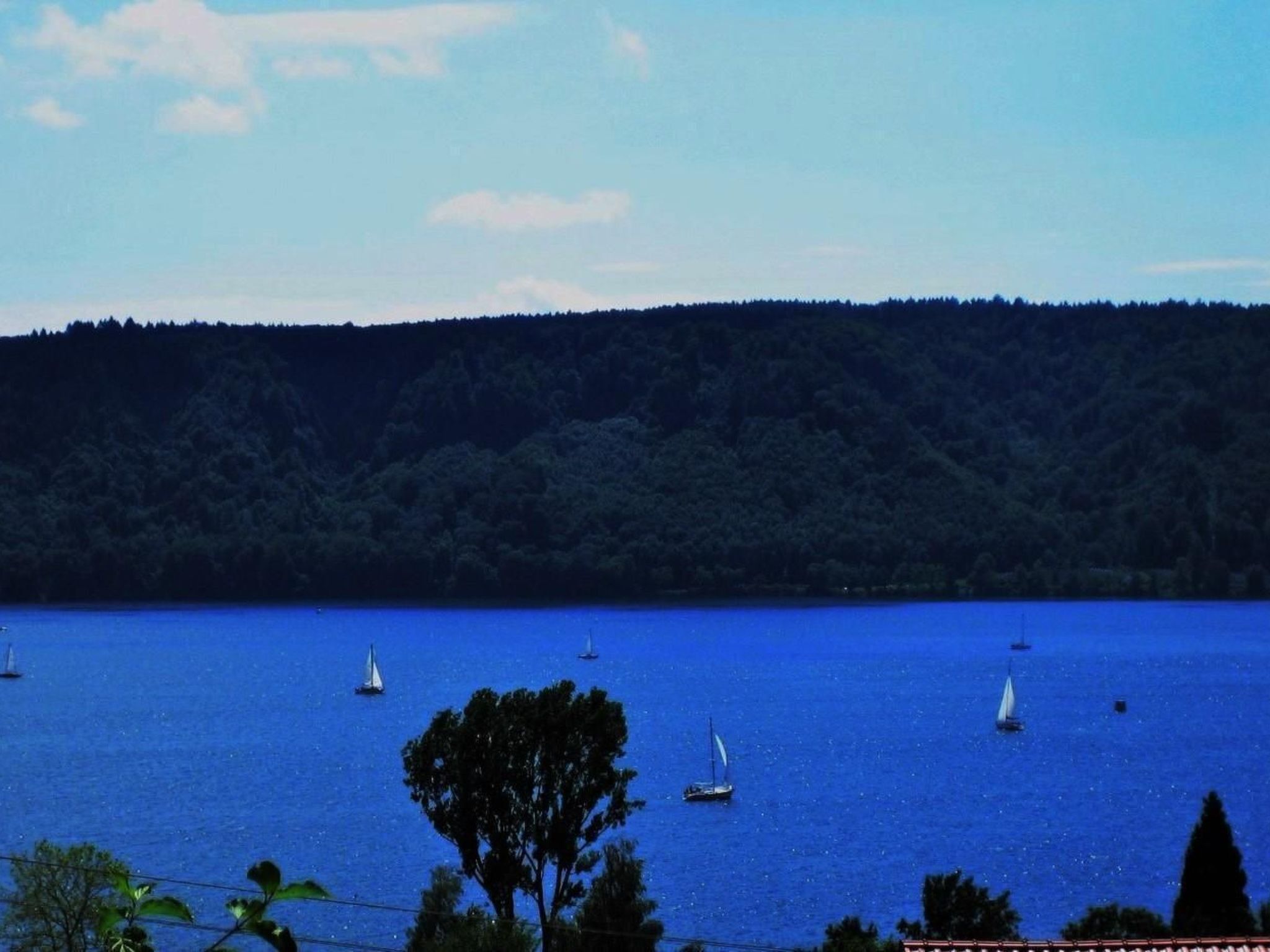 A lake with sailboats and a forested hill in the background.
