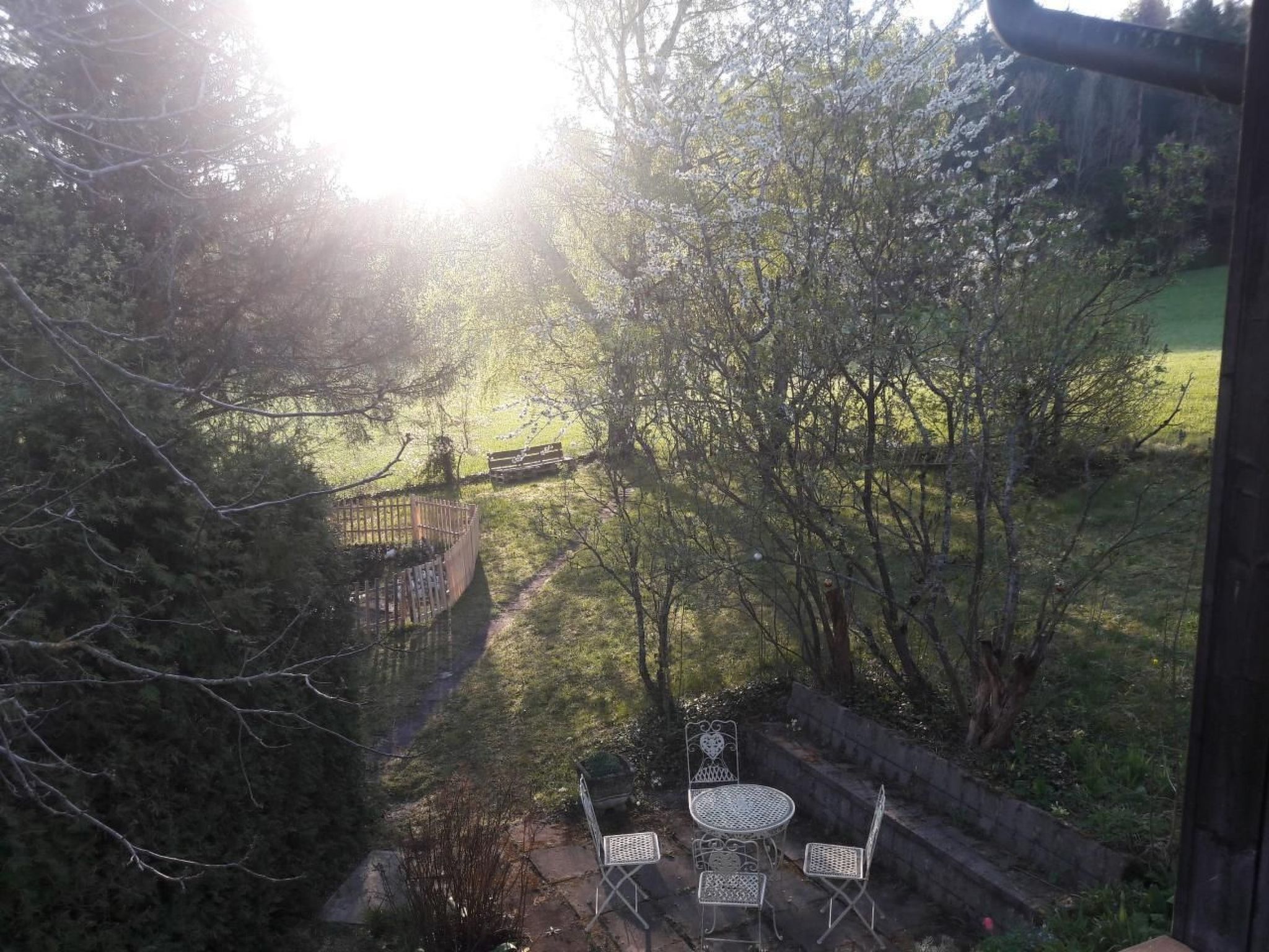 Ein Garten mit einer Terrasse, Metallstühlen und einem Tisch, umgeben von Bäumen und einem Holzzaun.