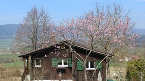 Una casa di legno rustica con persiane verdi, circondata da alberi in fiore e un paesaggio rurale.