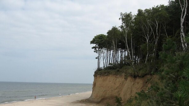 Ein Strand mit sandigem Ufer und einer Klippe mit Bäumen.