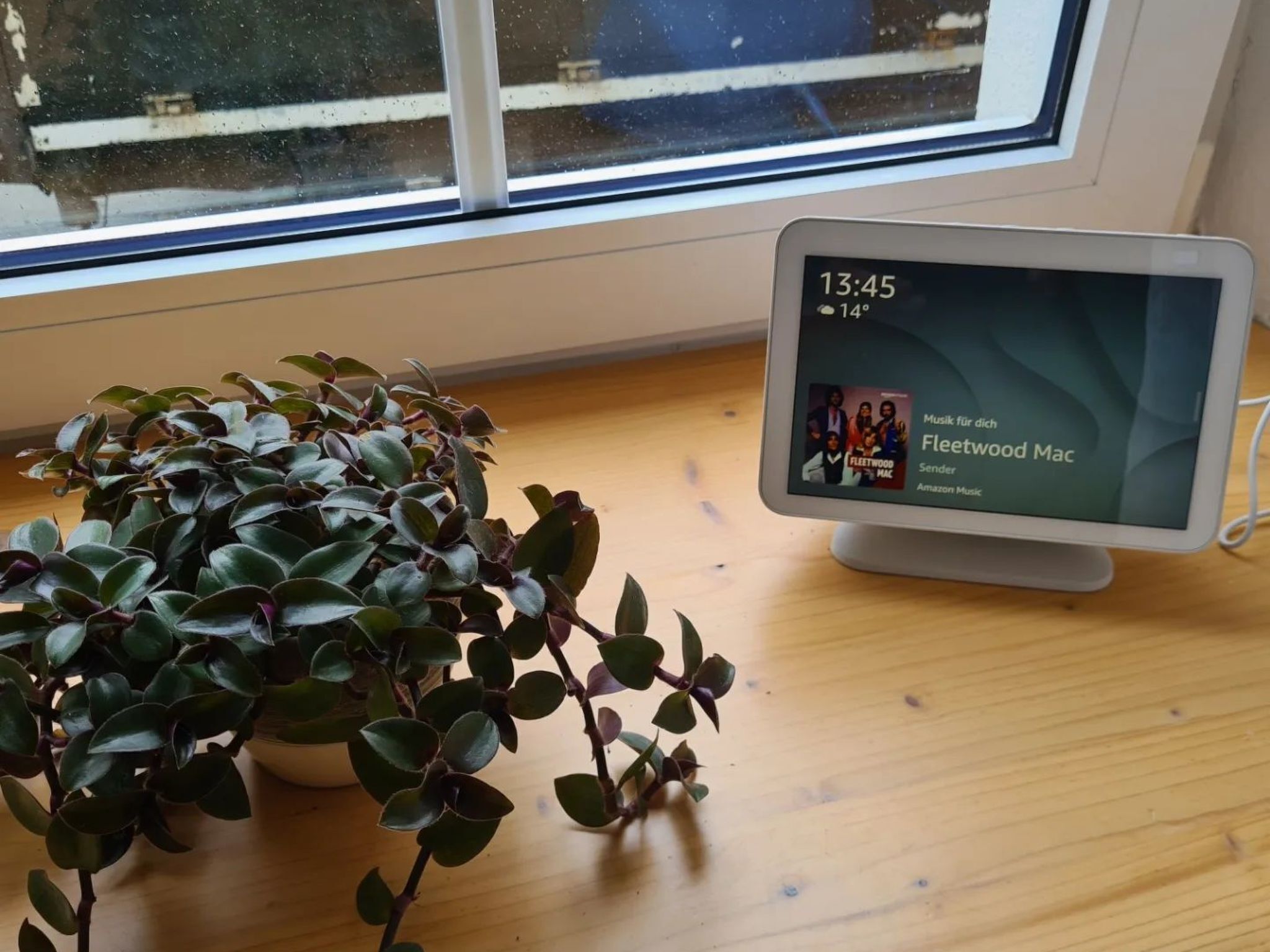 Um monitor de computador exibe a capa de um álbum de música, um vaso de planta e uma janela com vista para um edifício.