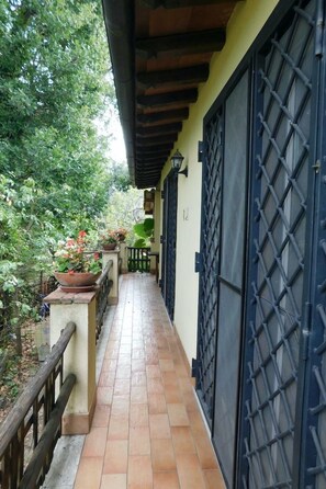 Detalle del exterior