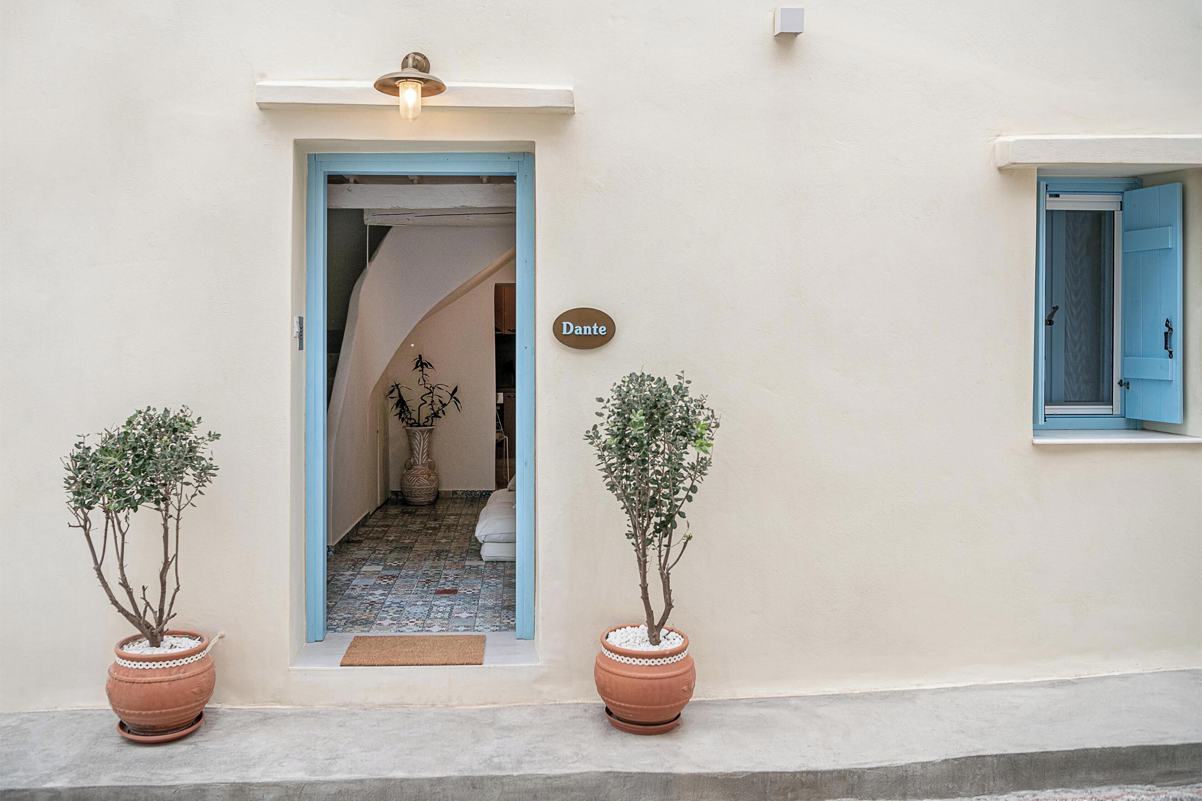 A building entrance with a blue door, a nameplate reading "Dante," and two potted plants on either side.