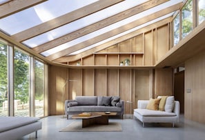 Smart TV, chimenea y libros 