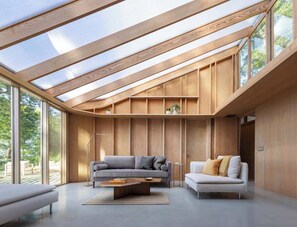 TV connectée, cheminée, livres